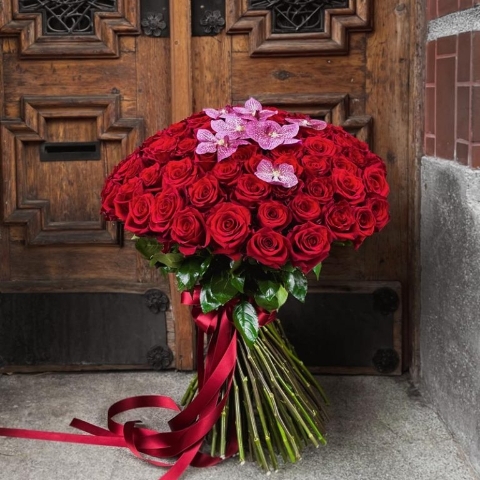 Royal Orchid Romance